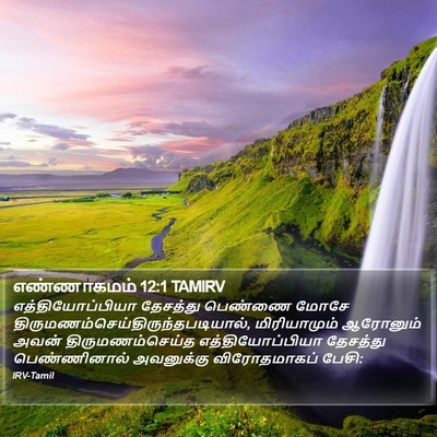 எண்ணாகமம் 12:1 TAMIRV Bible Verse Image