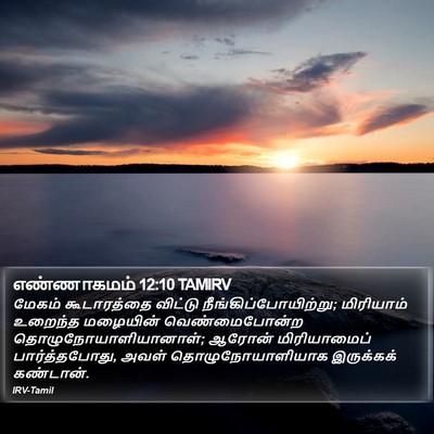 எண்ணாகமம் 12:10 TAMIRV Bible Verse Image