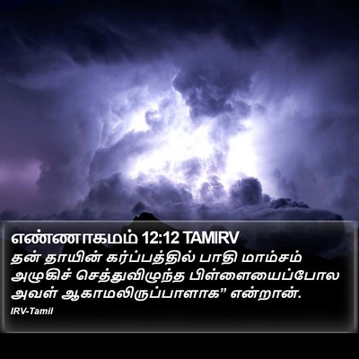 எண்ணாகமம் 12:12 TAMIRV Bible Verse Image
