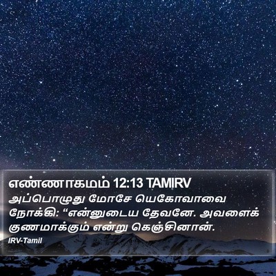 எண்ணாகமம் 12:13 TAMIRV Bible Verse Image