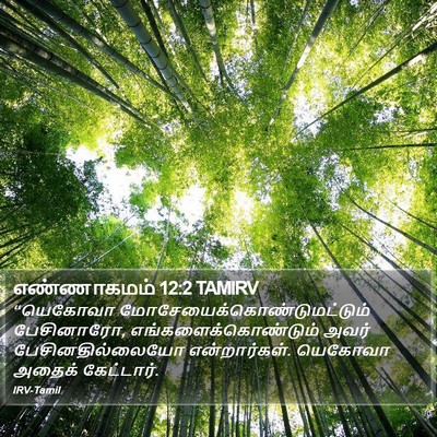 எண்ணாகமம் 12:2 TAMIRV Bible Verse Image