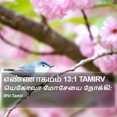 எண்ணாகமம் 13:1 TAMIRV Bible Verse Image