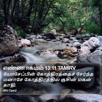 எண்ணாகமம் 13:11 TAMIRV Bible Verse Image