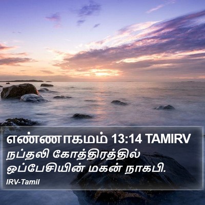எண்ணாகமம் 13:14 TAMIRV Bible Verse Image
