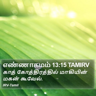எண்ணாகமம் 13:15 TAMIRV Bible Verse Image