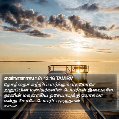 எண்ணாகமம் 13:16 TAMIRV Bible Verse Image