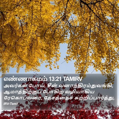 எண்ணாகமம் 13:21 TAMIRV Bible Verse Image