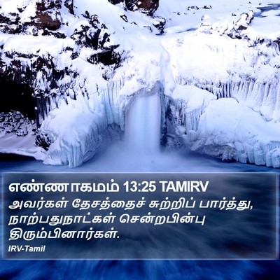 எண்ணாகமம் 13:25 TAMIRV Bible Verse Image