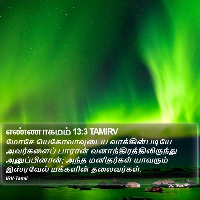 எண்ணாகமம் 13:3 TAMIRV Bible Verse Image