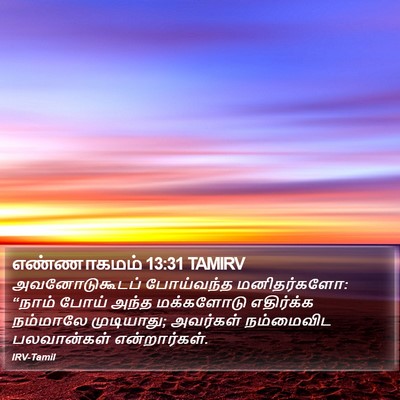 எண்ணாகமம் 13:31 TAMIRV Bible Verse Image