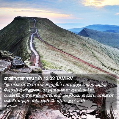 எண்ணாகமம் 13:32 TAMIRV Bible Verse Image