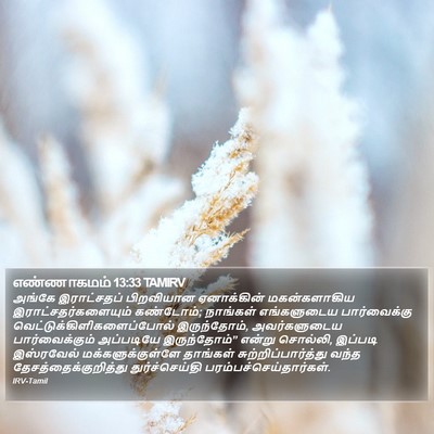எண்ணாகமம் 13:33 TAMIRV Bible Verse Image