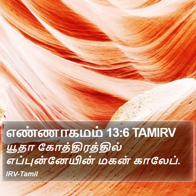 எண்ணாகமம் 13:6 TAMIRV Bible Verse Image