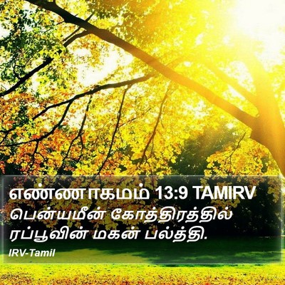 எண்ணாகமம் 13:9 TAMIRV Bible Verse Image