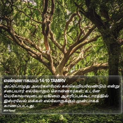 எண்ணாகமம் 14:10 TAMIRV Bible Verse Image