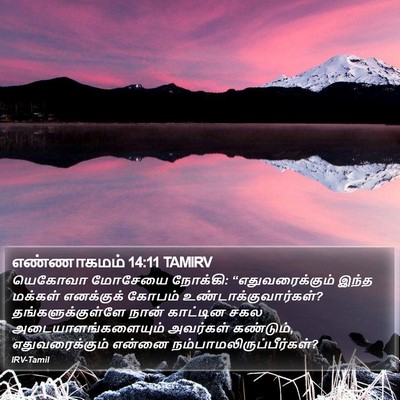 எண்ணாகமம் 14:11 TAMIRV Bible Verse Image