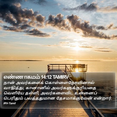 எண்ணாகமம் 14:12 TAMIRV Bible Verse Image
