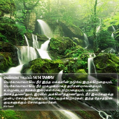 எண்ணாகமம் 14:14 TAMIRV Bible Verse Image