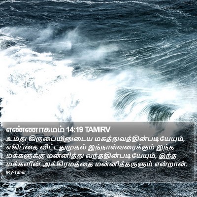எண்ணாகமம் 14:19 TAMIRV Bible Verse Image