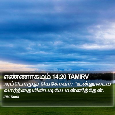 எண்ணாகமம் 14:20 TAMIRV Bible Verse Image