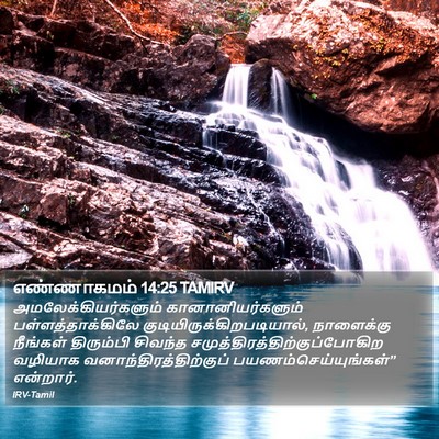 எண்ணாகமம் 14:25 TAMIRV Bible Verse Image
