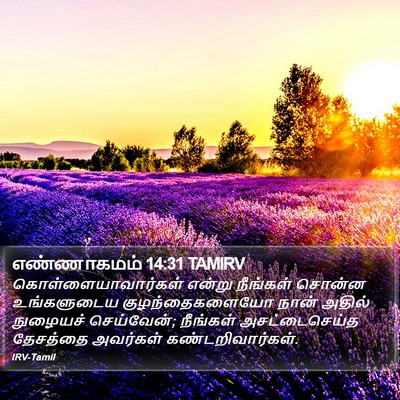 எண்ணாகமம் 14:31 TAMIRV Bible Verse Image