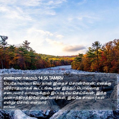 எண்ணாகமம் 14:35 TAMIRV Bible Verse Image