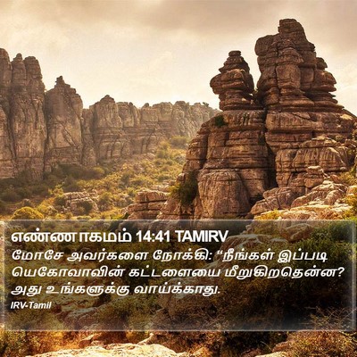 எண்ணாகமம் 14:41 TAMIRV Bible Verse Image