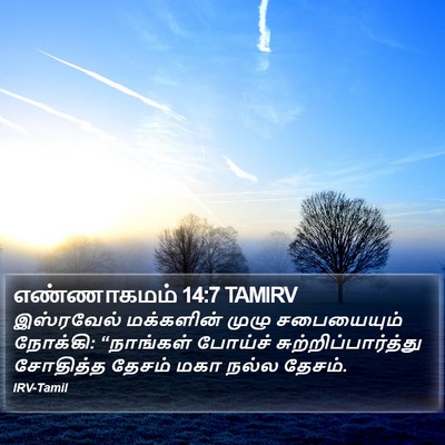 எண்ணாகமம் 14:7 TAMIRV Bible Verse Image