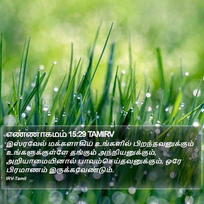 எண்ணாகமம் 15:29 TAMIRV Bible Verse Image