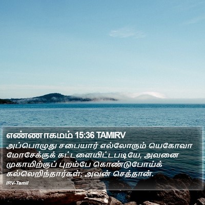 எண்ணாகமம் 15:36 TAMIRV Bible Verse Image