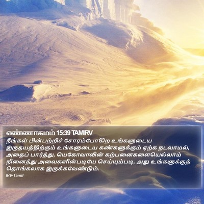 எண்ணாகமம் 15:39 TAMIRV Bible Verse Image