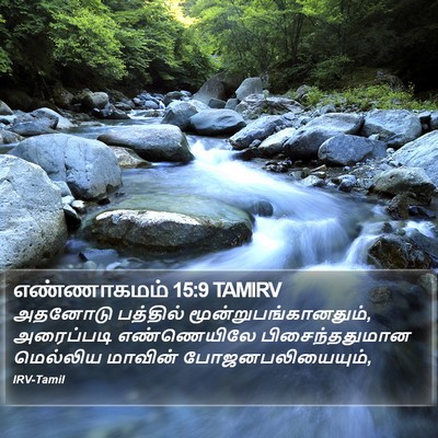 எண்ணாகமம் 15:9 TAMIRV Bible Verse Image
