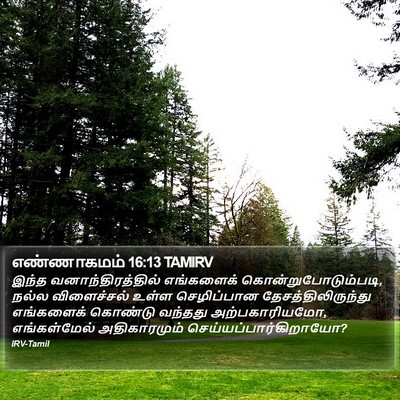 எண்ணாகமம் 16:13 TAMIRV Bible Verse Image