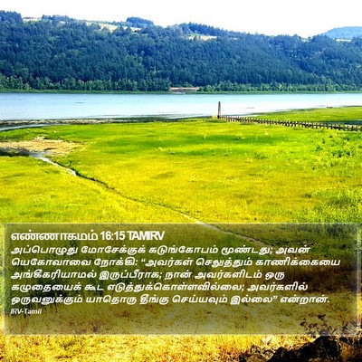 எண்ணாகமம் 16:15 TAMIRV Bible Verse Image