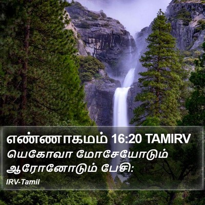 எண்ணாகமம் 16:20 TAMIRV Bible Verse Image