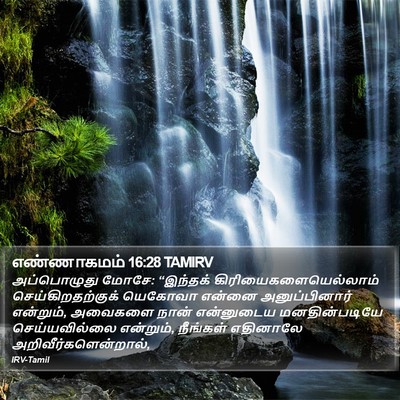 எண்ணாகமம் 16:28 TAMIRV Bible Verse Image