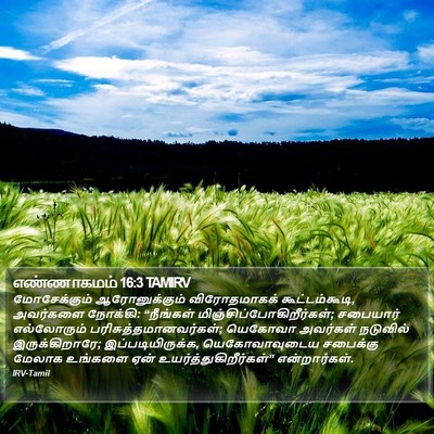 எண்ணாகமம் 16:3 TAMIRV Bible Verse Image