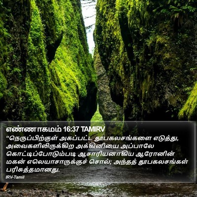 எண்ணாகமம் 16:37 TAMIRV Bible Verse Image