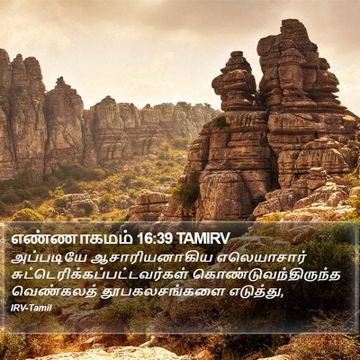 எண்ணாகமம் 16:39 TAMIRV Bible Verse Image