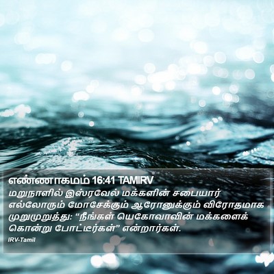 எண்ணாகமம் 16:41 TAMIRV Bible Verse Image