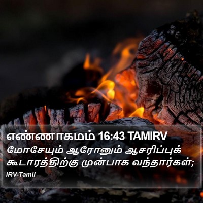 எண்ணாகமம் 16:43 TAMIRV Bible Verse Image