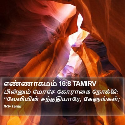 எண்ணாகமம் 16:8 TAMIRV Bible Verse Image