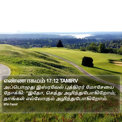 எண்ணாகமம் 17:12 TAMIRV Bible Verse Image
