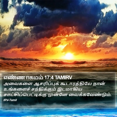 எண்ணாகமம் 17:4 TAMIRV Bible Verse Image
