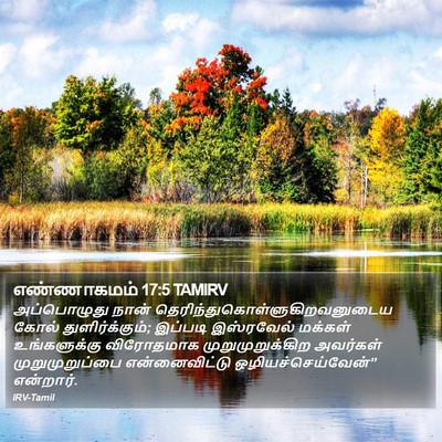 எண்ணாகமம் 17:5 TAMIRV Bible Verse Image