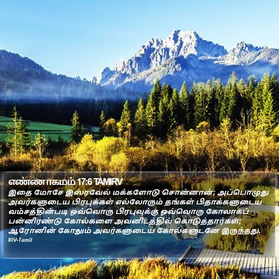 எண்ணாகமம் 17:6 TAMIRV Bible Verse Image