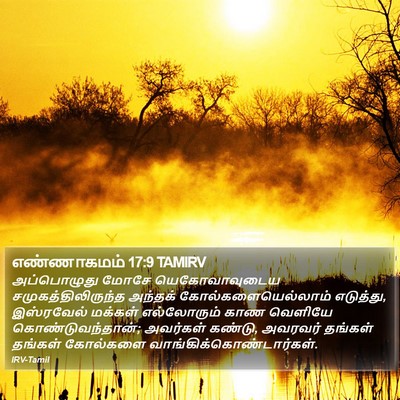 எண்ணாகமம் 17:9 TAMIRV Bible Verse Image