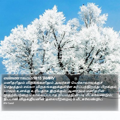 எண்ணாகமம் 18:15 TAMIRV Bible Verse Image