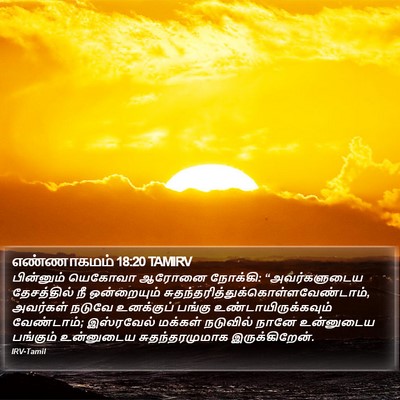 எண்ணாகமம் 18:20 TAMIRV Bible Verse Image